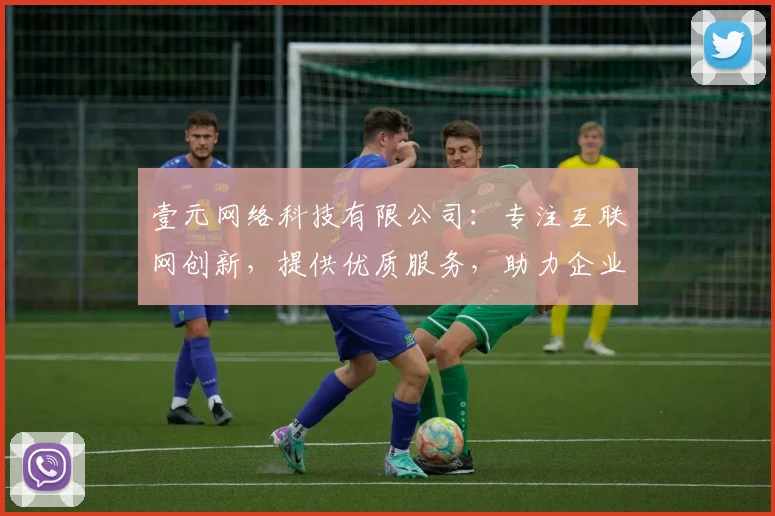 壹元网络科技有限公司：专注互联网创新，提供优质服务，助力企业成长，打造行业标杆，引领未来趋势。