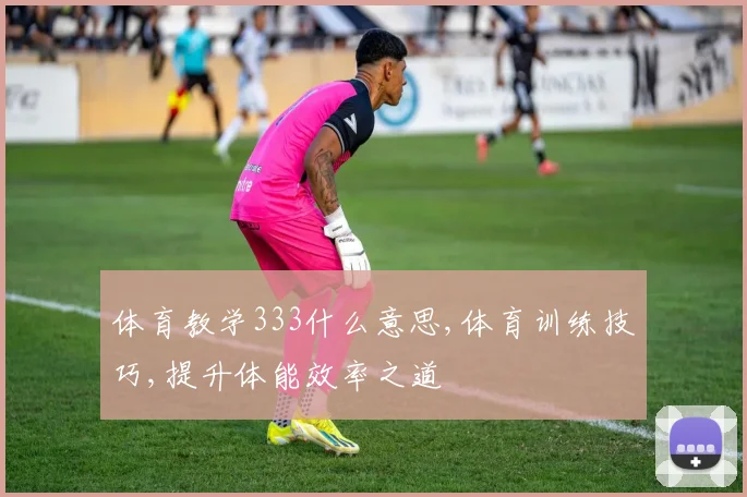 体育教学333什么意思,体育训练技巧,提升体能效率之道