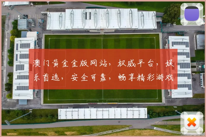 澳门黄金金版网站，权威平台，娱乐首选，安全可靠，畅享精彩游戏体验，尽在其中。