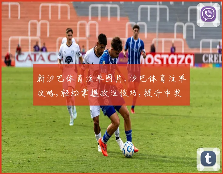 新沙巴体育注单图片,沙巴体育注单攻略,轻松掌握投注技巧,提升中奖率